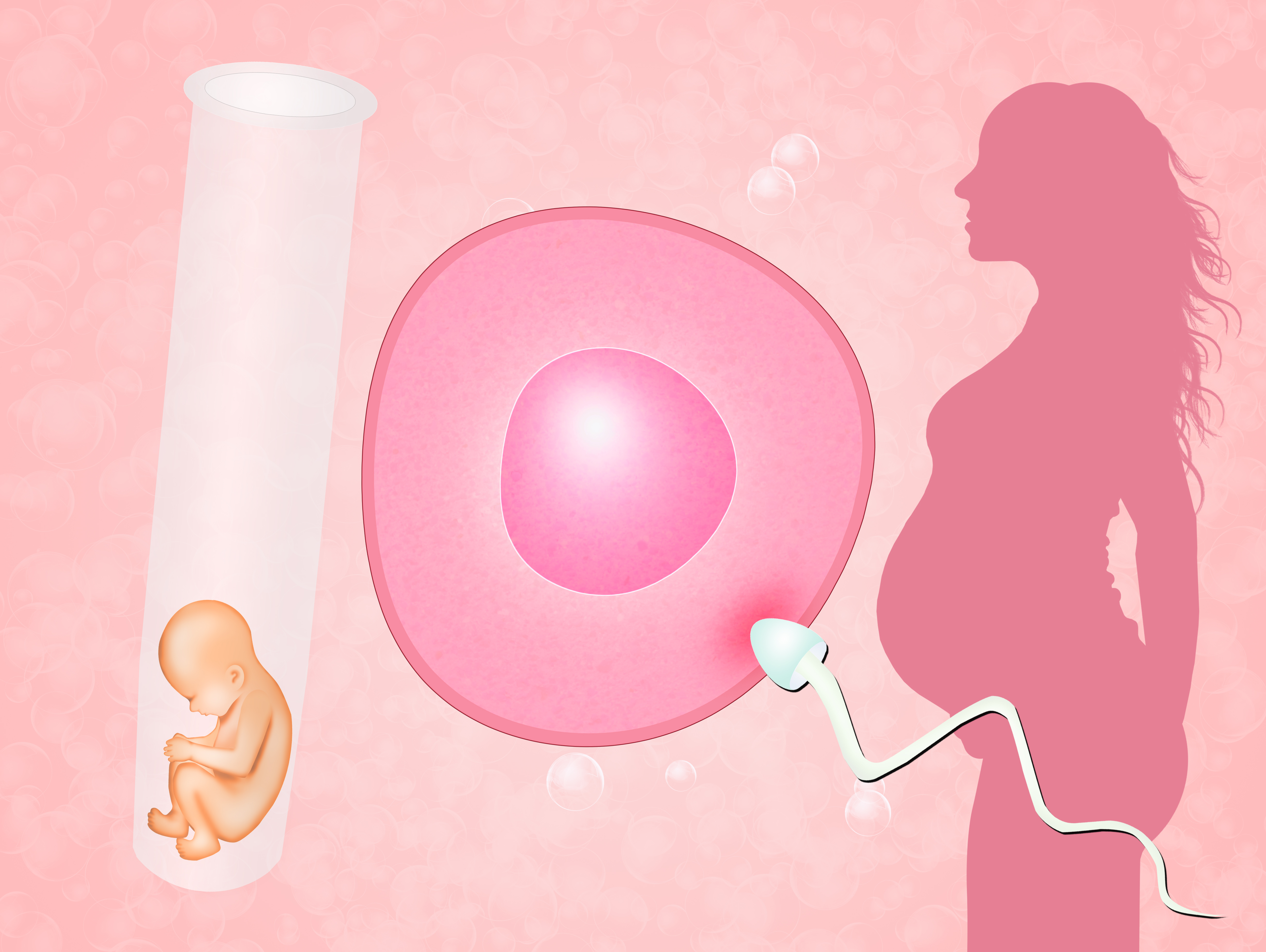 女性内分泌功能评估：检查雌激素六项解读
